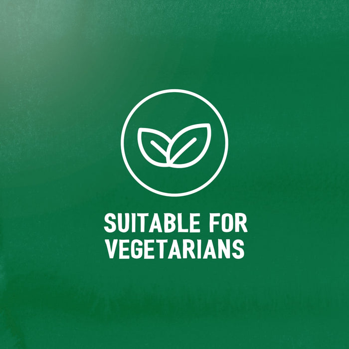 An illustration of a leaf icon and text indicates that the Schwartz Bella Italia Pollo Funghi Creamy Chicken & Wild Mushroom Rigatoni 30G is suitable for vegetarians.
