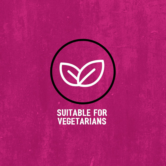 A graphic illustration for Schwartz Af Fries Seas featuring a white leaf icon inside a black circle with the text SUITABLE FOR VEGETARIANS on a textured pink background.