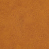 A close-up, top-down view shows the fine, reddish-brown texture of Schwartz Ground Cinnamon 39G.