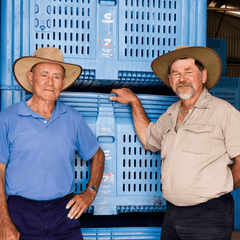 Two men standing in front of blue crates, wearing hats.